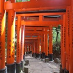 Fushimi Inari Taisha torii
