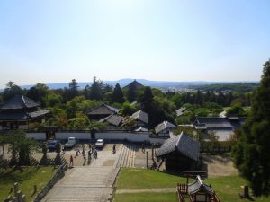 Walking in Nara