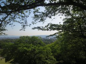 Nara Wakakusa view