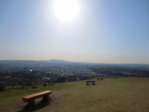Nara wakakusa view