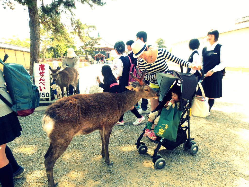Nara daims