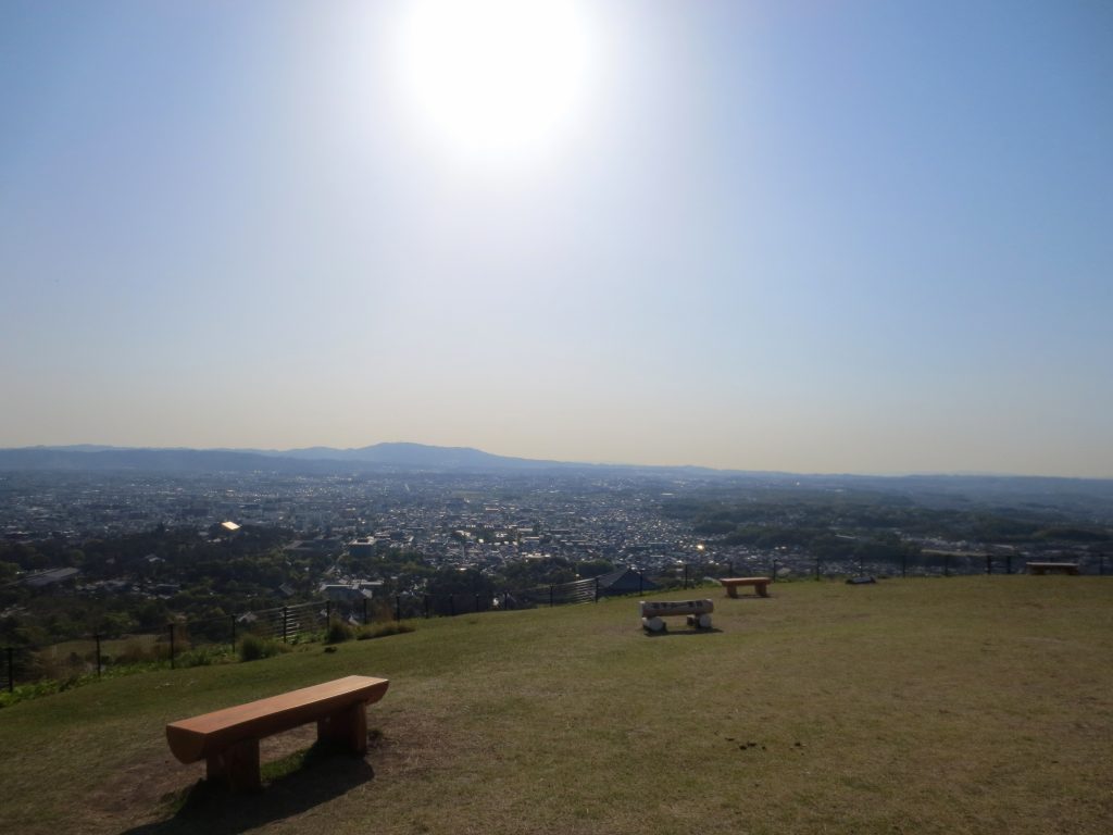 Nara wakakusa view