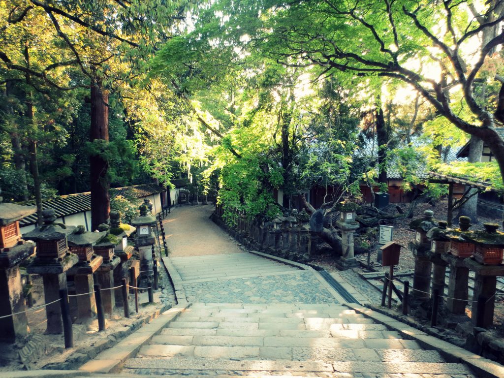 Walking in Nara