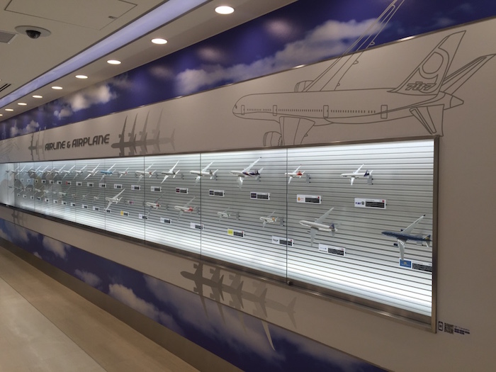 Flight simulator, deck observation