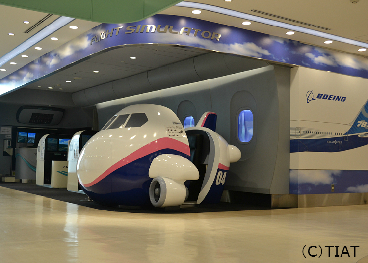 Flight simulator